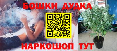 шишки Комсомольск-на-Амуре