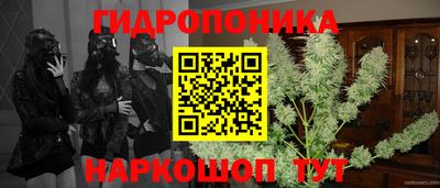 шишки Комсомольск-на-Амуре