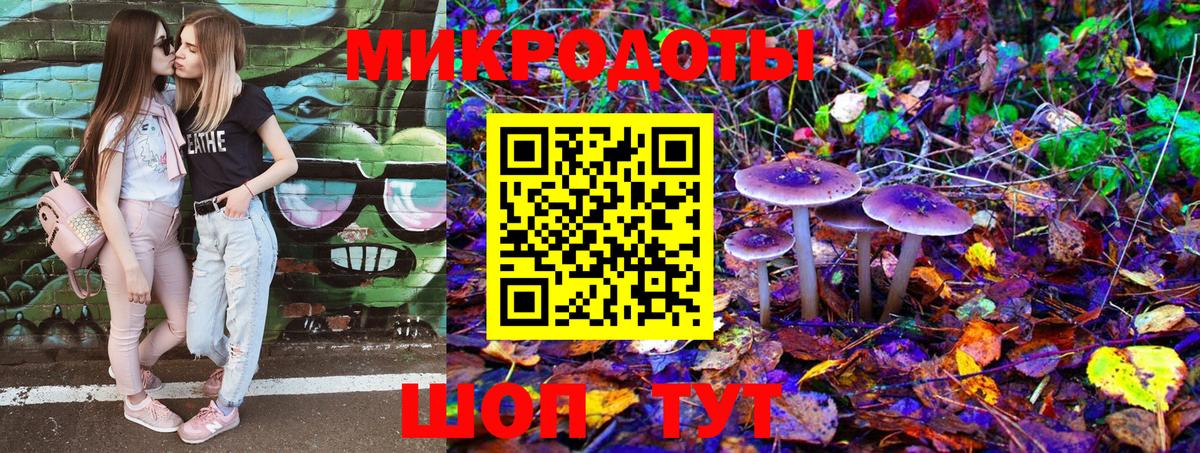 Печора  Галлюциногенные грибы Psilocybine cubensis  Вход с VPN 